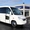 nico nino garlet #850698