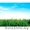 Решетка Ecoteck Parking 60см х 60см #826636