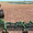 CLAAS,  John Deere и New Holland- ЗАПЧАСТИ #1079603