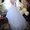 Продам Обалденное Свадебное платье  #1199393
