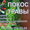 Покос травы,  стижка газонов,  спил (распил) деревьев #1253312