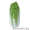 Семена пекинской капусты KS 374 F1 фирмы Китано #1297691