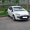 Fiat Punto Evo 2010   #1439372