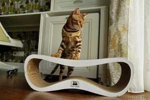 Трендовые когтеточки,  лежанки и домики для кошек из эко-картона #1360349