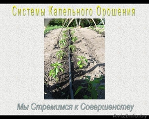 Капельный Полив. Продажа и Установка. Доступно. #8129