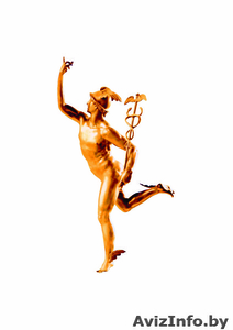 ПЕРЕВОДЫ В ВИТЕБСКЕ #24474