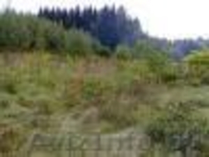 Дачный участок в живописном месте #23933