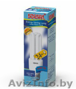 ООО Иквэл Поставки Энергосберегающие лампы оптом из Китая         #35228