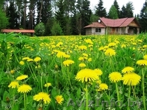 Коттедж под Минском #30017