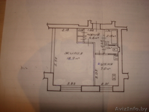 Гомель Центр Кожара #30160
