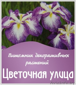 Питомник декоративных многолетников «Цветочная улица» #34813