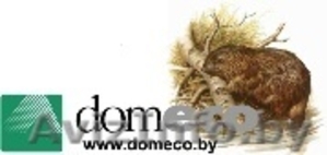 Деревянные евроокна #28826