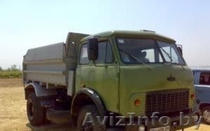 МАЗ самосвал 5549,  10-тонник #33248