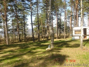 Участок на берегу Балтийского моря #44836