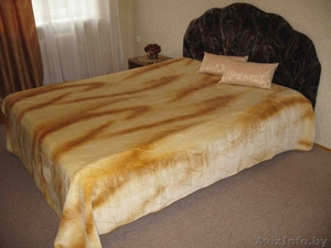 2-комнатная Евроквартира в самом центре (ст. метро пл. Я. Колоса) #47281