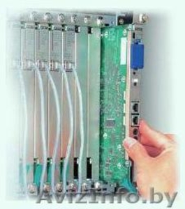 Прокладка компьютерных сетей ЛВС,  Телефонизация офисов #41729