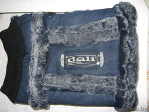 одежду для маленькой породы собак #42057