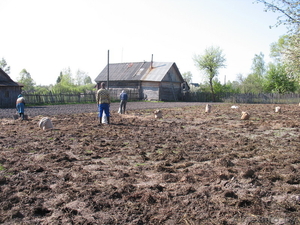 Продается деревенский дом в деревне #38922