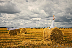 Свадебный фотограф Александр Грынчак #47579
