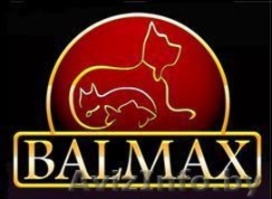 Оптовая продажа товаров для животных (зоотоваров) #48132