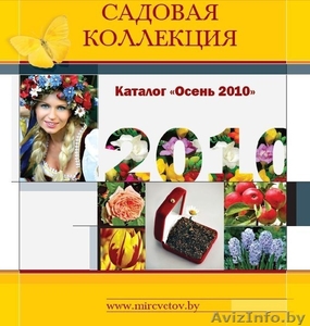 Продажа садовых растений оптом #58633