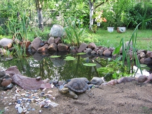 Продается дом в г. Речица 218 кв.м. 1999г. постройки 120 000$ торг #48032