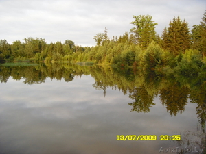 Срочно продам жилой дом #59385