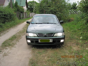 Продается  Ниссан Примера #59124