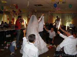 Организация и проведение шоу-программы на Вашем торжестве     #65838