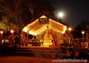 Тамада,  ведущий,  артисты #72696