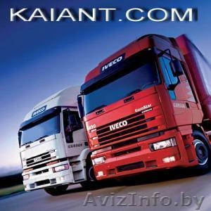 Грузоперевозки по Беларуси,  России,  СНГ,  ЕС. Компания