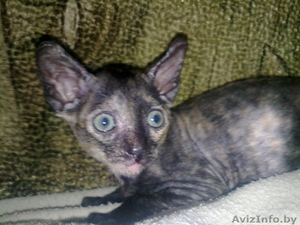 продам или поменяю #62623