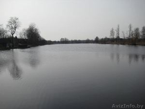 Продам дом в Витебской области #71525