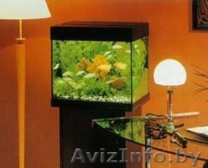 Аквармум новый на 30 и 50 литров с крышкой-подсветкой   #68720