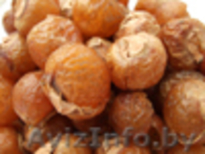 мыльные орехи- натуральный 100% продукт #63107