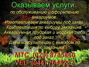 Аквариумы-чистка, обслуживание, консультации #68377