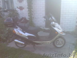 Viper F 50              #74055