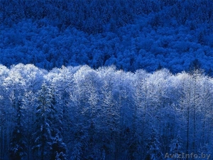 белоя магия 777 #61022