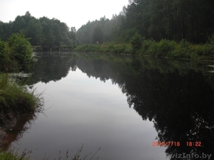 Дом в Березинском заповеднике.  #76050