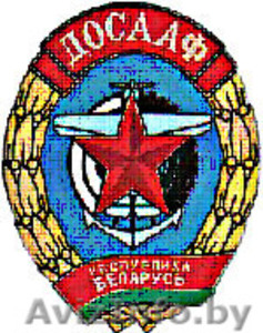 Обучение плаванию,  плавание в Минске #80447