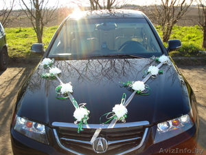 Свадебные украшения на авто #79001