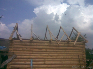 сруб бани из кругляка #74272