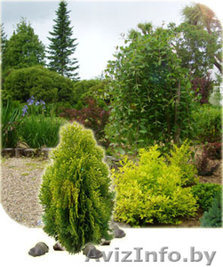 УП Щемыслица БГУ #77061