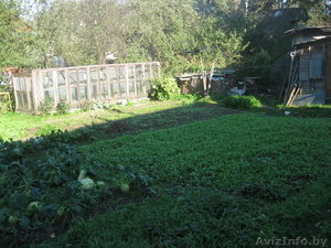 Витебск. тел. 8999579 #85196