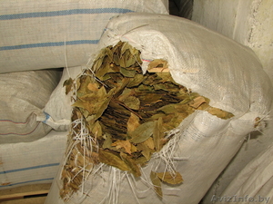 лавровый лист,  весовой,  Грузия. #83792