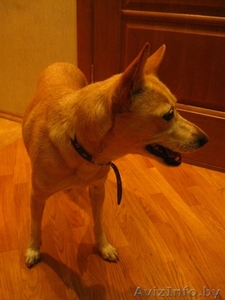 Умка - маленькое чудо #77448