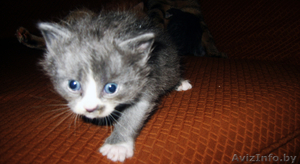 Ы обьявление тыц тыц тыц тыц тыц тыц #81968