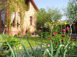 Сдаю в аренду дачу #85486