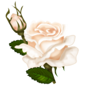 Работа на дому, интернет #83007