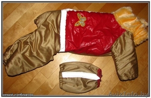 зимний комбинезон для собачки #92783